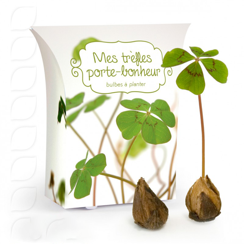 Boite Trefle A 4 Feuilles Azcom Creation