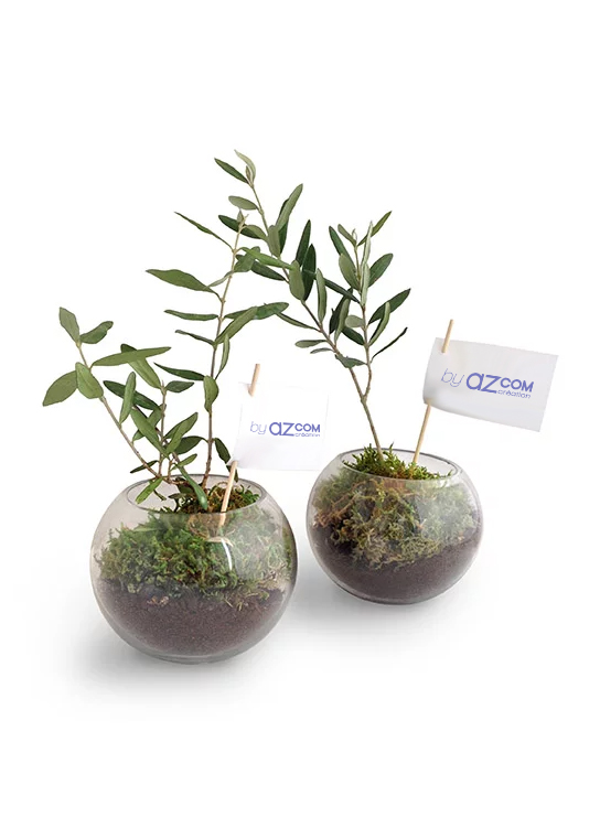 Plante personnalisée