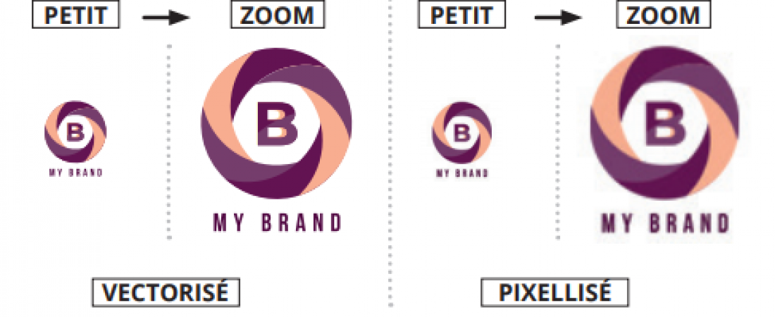 LA VECTORISATION